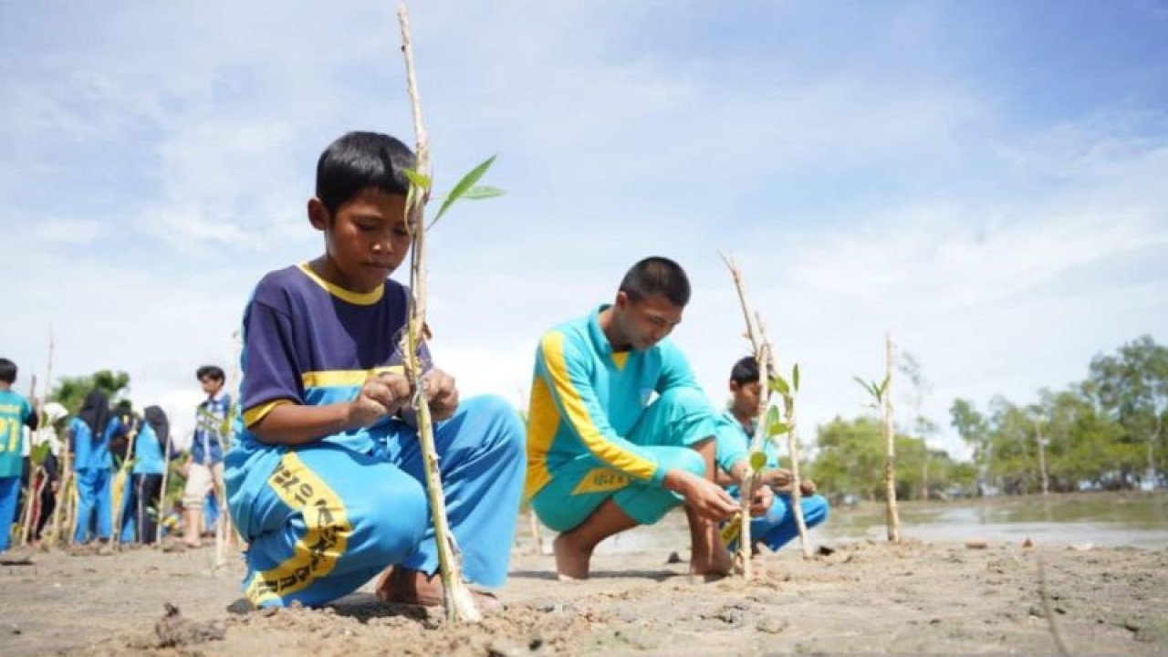 PT Timah Tbk bersama siswa sekolah dasar di Bangka Belitung melakukan penanaman bakau di pesisir pantai Bangka. (Humas PT Timah Tbk)