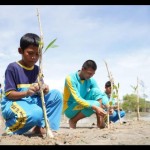PT Timah tanam 18.100 bakau tekan dampak perubahan iklim global-1674807758