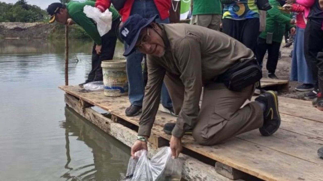 Ilustrasi, Direktur Utama PT Timah Tbk, Achmad Ardianto saat melepas bibit ikan di kolong bekas penambangan timah (ANTARA/ Aprionis)