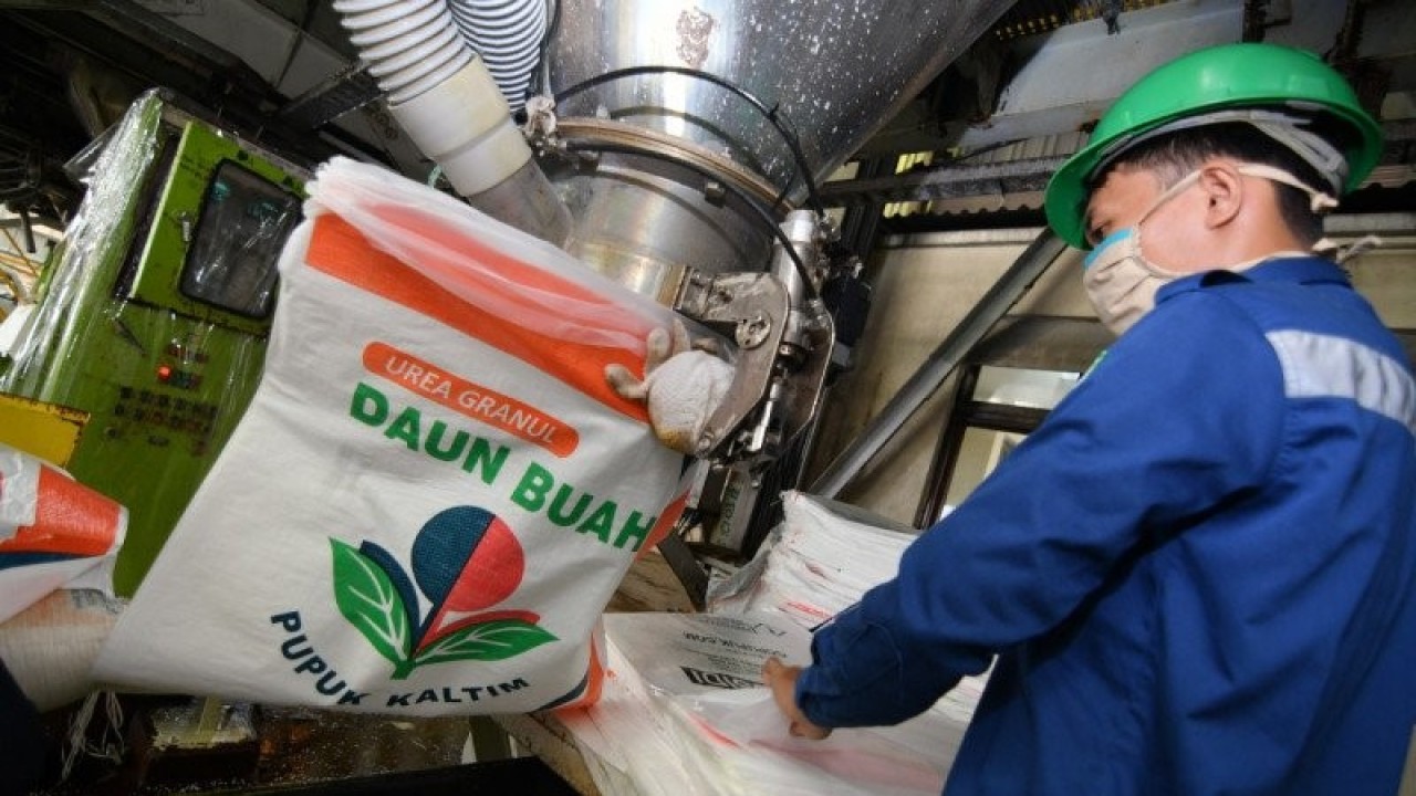 Ilustrasi pupun "daun Buah" non subsidi produksi PT Pupuk Kaltim, anak usaha holding BUMN PT Pupuk Indonesia, yang siap didistribusikan pada petani di Sulsel, Jumat (17/7/2020). ANTARA Foto/H0/Humas Pupuk Kaltim