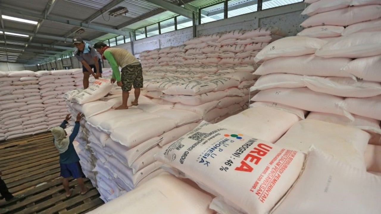 Ilustrasi: Pekerja mengangkut karung pupuk urea di gudang lini 3 Jatibarang pupuk Kujang, Indramayu, Jawa Barat, Senin (19/12/2022). Kementerian Pertanian menyatakan total alokasi pupuk subsidi tahun 2023 sebanyak 9 juta ton yang terdiri dari 5,5 juta ton urea dan3,2 juta ton NPK dan 221 ribu ton NPK formula khusus. ANTARA FOTO/Dedhez Anggara/aww.