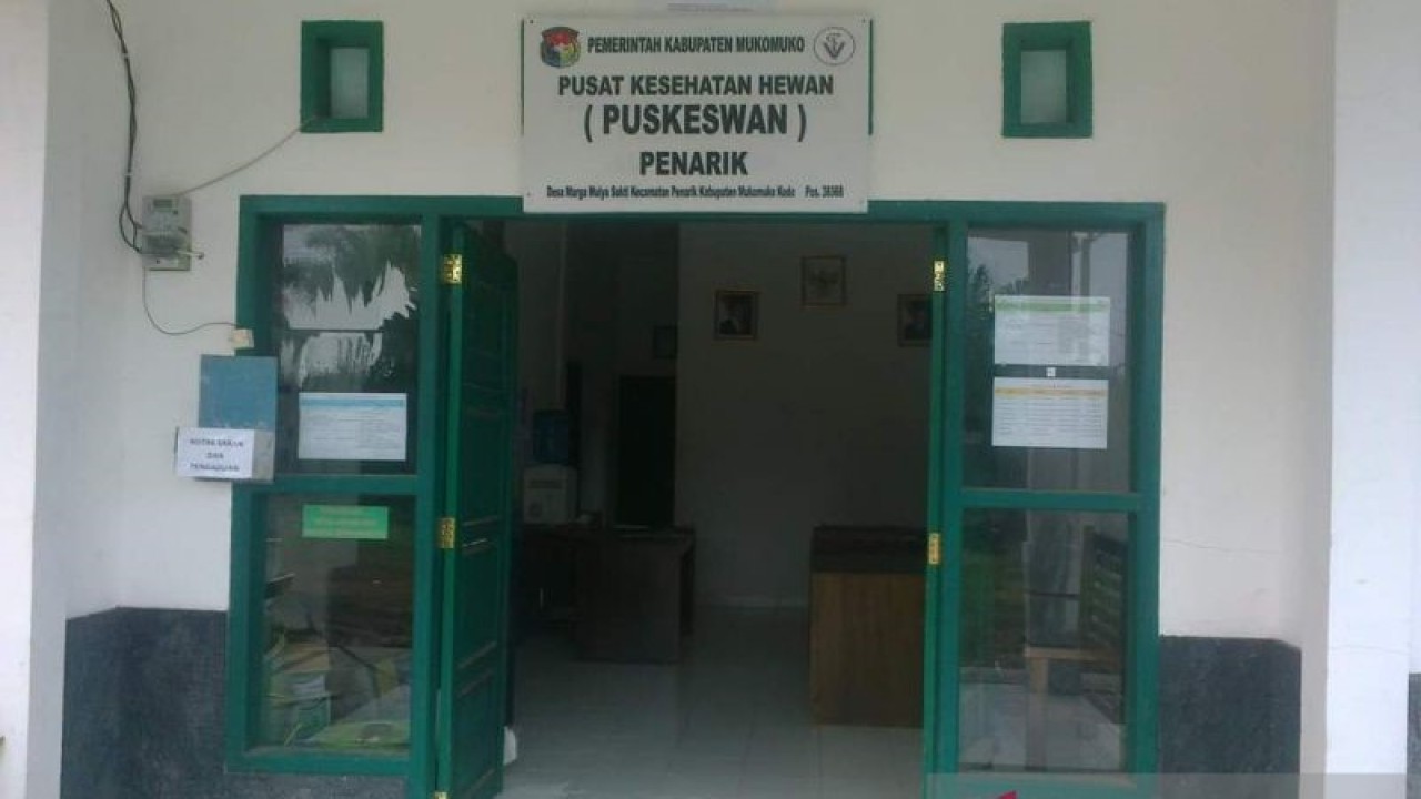 Pusat Kesehatan Hewan (puskeswan) di Kecamatan Penarik, Kabupaten Mukomuko, Senin (16/1/2023) ANTARA/HO-Istimewa.
