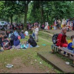 ragunan-1673068762