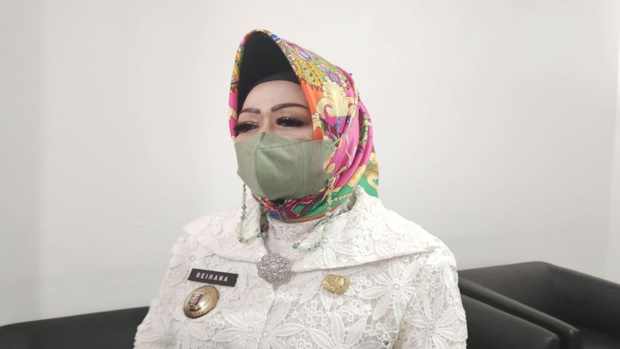 Kepala Dinas Kesehatan Provinsi Lampung Reihana saat memberi keterangan. ANTARA/Ruth Intan Sozometa Kanafi.