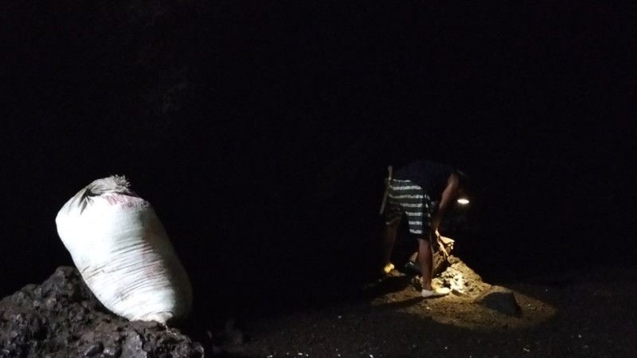 Warga Pekon Way Sindi yang sedang mengambil pupuk dari kotoran kelelawar di dalam Goa Matu di Kabupaten Pesisir Barat, Lampung. ANTARA/Riadi Gunawan