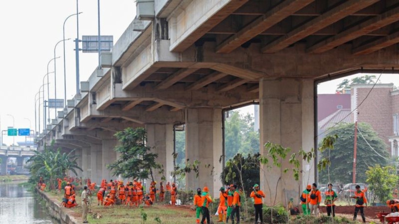 Sejumlah petugas menanam pohon di kolong Tol Becakayu, Jakarta Timur, Selasa (10/1/2023). ANTARA/HO-Pemprov DKI Jakarta