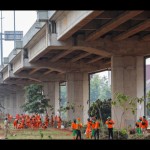 Sejumlah petugas menanam pohon di kolong Tol Becakayu, Jakarta Timur, Selasa (10/1/2023). ANTARA/HO-Pemprov DKI Jakarta-1673326026