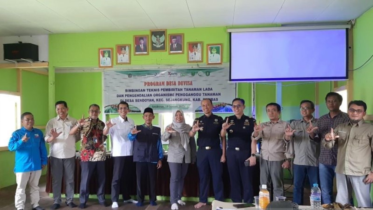 Sosialisasi kepada IKM Lada Batu Layar oleh Bea Cukai Sintete. ANTARA/Dedi