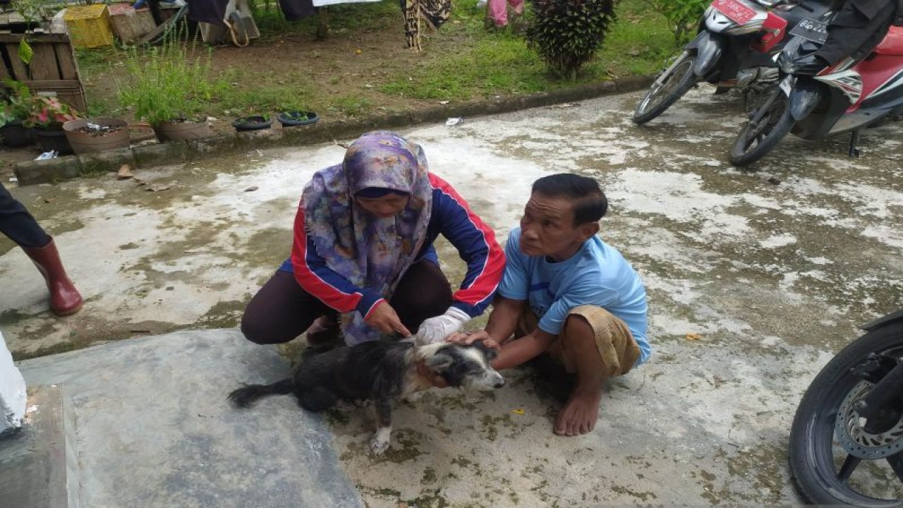 Petugas Diskannak OKU Sumsel memberikan suntikan vaksin anti rabies ke hewan peliharaan masyarakat, Jumat. (ANTARA/Edo Purmana/23)