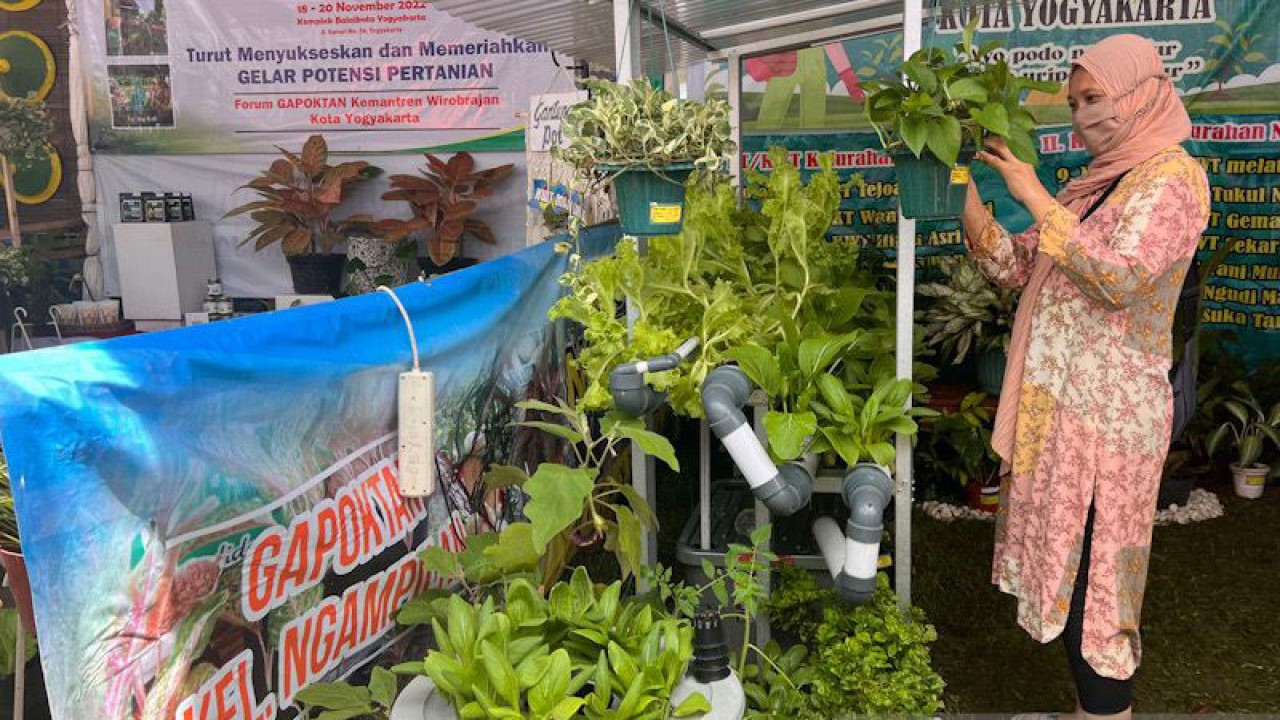 Dokumentasi - Salah satu gabungan kelompok tani di Kota Yogyakarta dengan hasil pertanian saat gelar potensi pertanian (18/11/2022) (ANTARA/Eka AR)