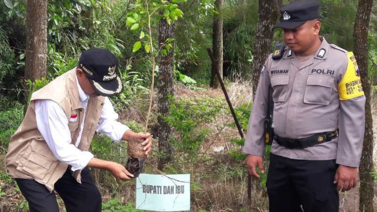 Bupati Temanggung M. Al Khadziq menanam bibit pohon di kawasan Embung Kledung di lereng Gunung Sindoro Kabupaten Temanggung. ANTARA/Heru Suyitno