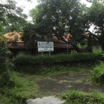 THR-1674564723
