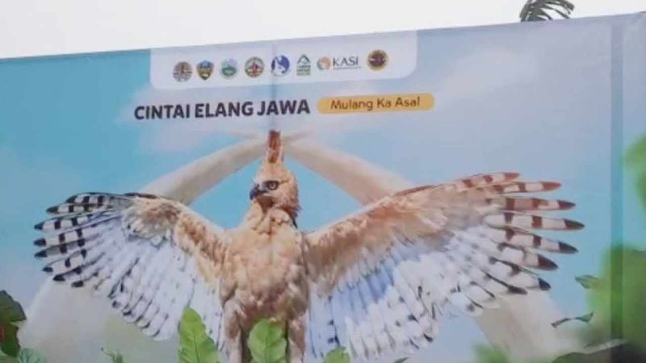 Poster pelepasliaran elang jawa di area Taman Safari Indonesia, Cisarua, Kabupaten Bogor, Jawa Barat, Senin (30/1/2023). (ANTARA/M Fikri Setiawan)