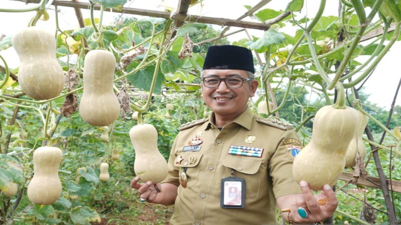 Wali Kota Jakarta Barat Yani Wahyu Purwoko saat meninjau kebun labu madu di Kamal, Kalideres, Jakarta Barat, Senin (9/1/2022) ANTARA/HO-Yani Wahyu Purwoko