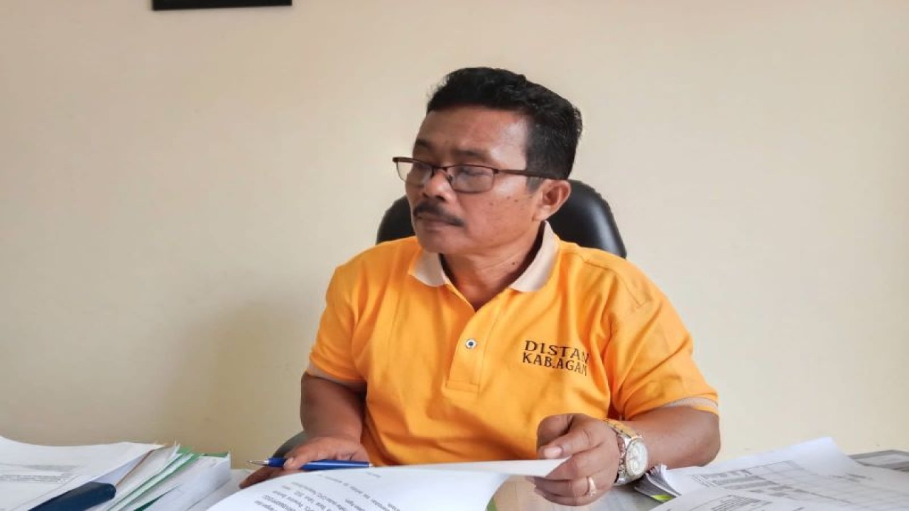 Kepala Dinas Pertanian Agam Afniwirman.