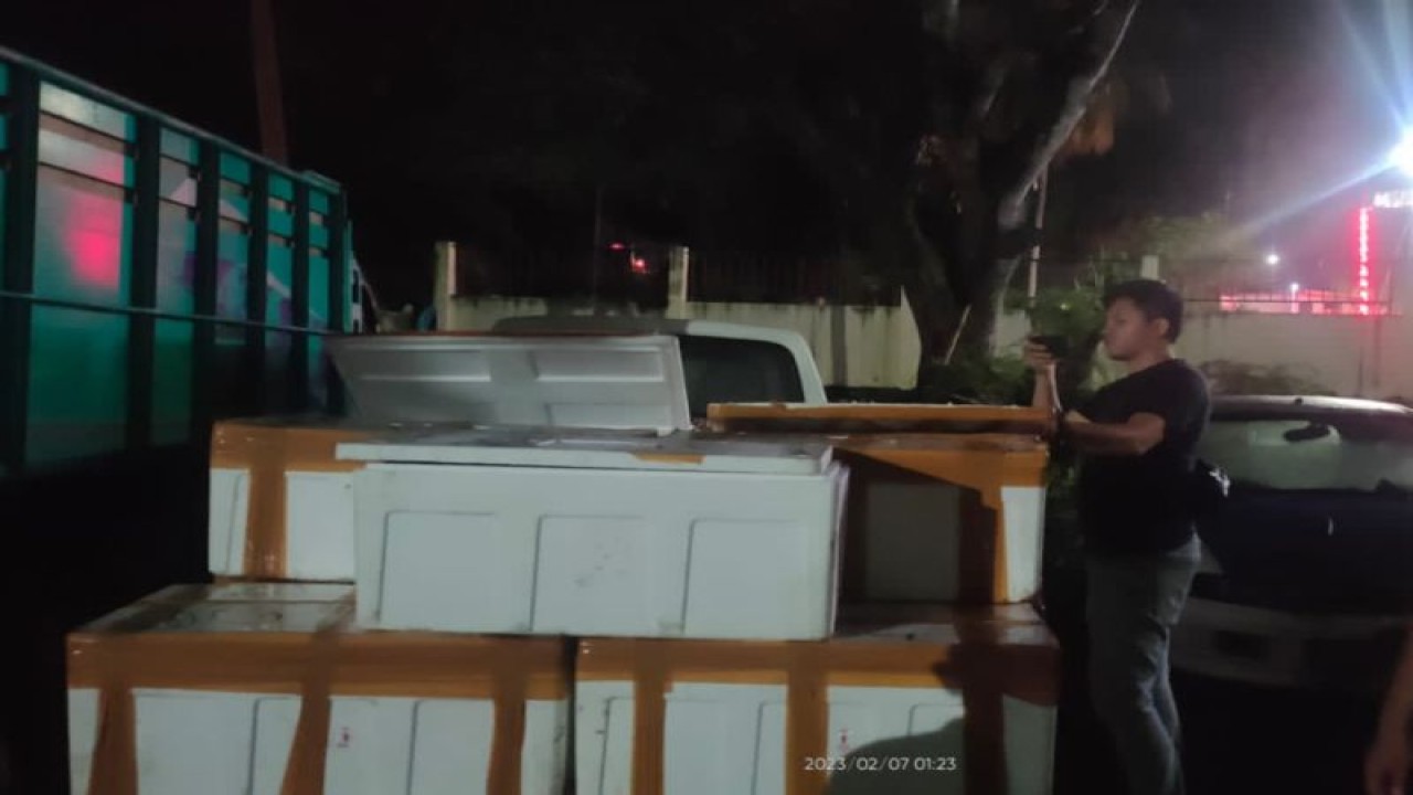 Barang bukti terumbu karang yang disita Polres Bima, NTB. ANTARA/Humas Polda NTB.