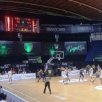basket-1676638498