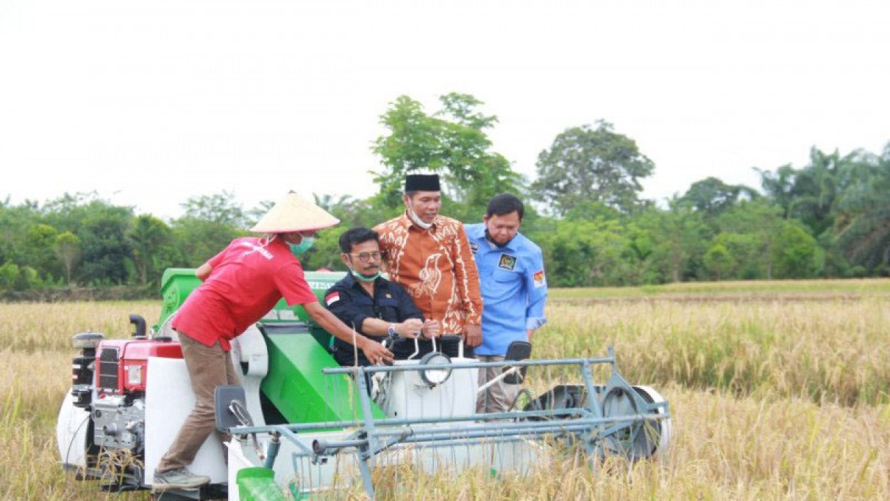 Ilustrasi: Menteri Pertanian (Mentan) Syahrul Yasin Limpo didampingi Wakil Ketua DPD RI Sultan Bachtiar Najamudin dan Plt Gubernur Bengkulu Dedy Ermansyah saat melakukan panen padi di Desa Padang Merbau, Kecamatan Seluma Selatan, Kabupaten Seluma, Provinsi Bengkulu. (Foto ANTARA/HO-Media Center Pemprov Bengkulu)