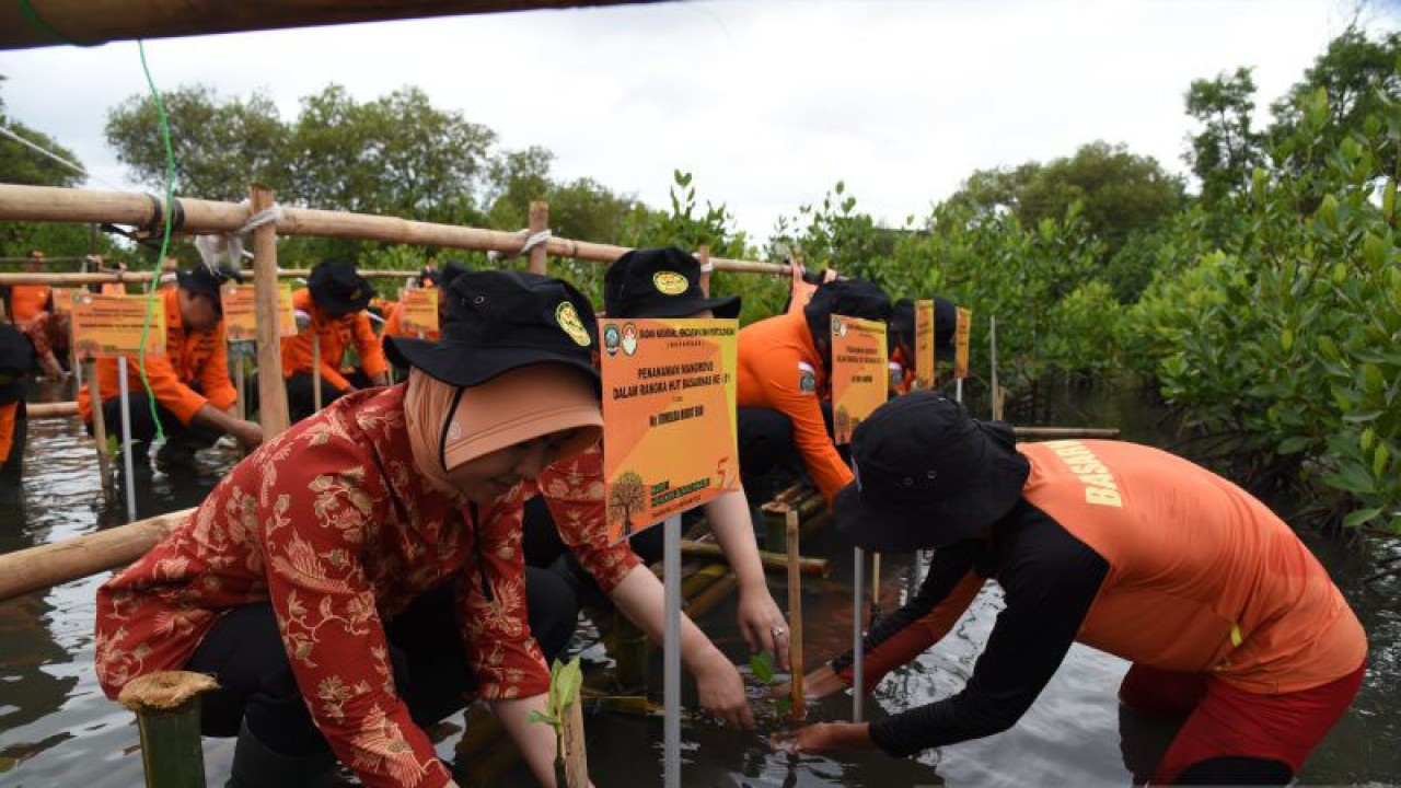 Sejumlah personel Basarnas melakukan penanaman bibit mangrove di Tanjung Pasir, Kecamatan Teluk Naga, Kabupaten Tangerang, Banten. (ANTARA/Azmi)