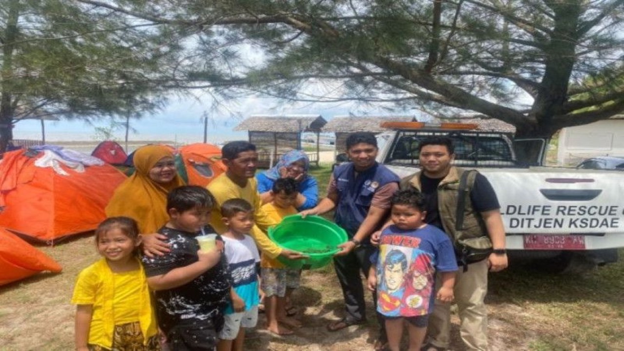Dokumentasi. Wisatawan lokal menyerahkan 59 ekor tukik atau anakan penyu kepada staf BKSDA Pangkalan Bun. Minggu (12/02/2023). (ANTARA/HO-SKW II BKSDA Pangkalan Bun)
