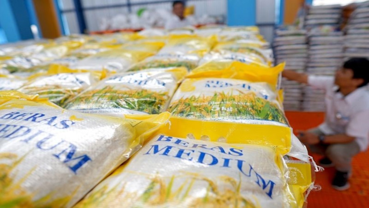 Seorang karyawan memeriksa stok beras medium di gudang Bulog, Kota Gorontalo. ANTARA/Adiwinata Solihin