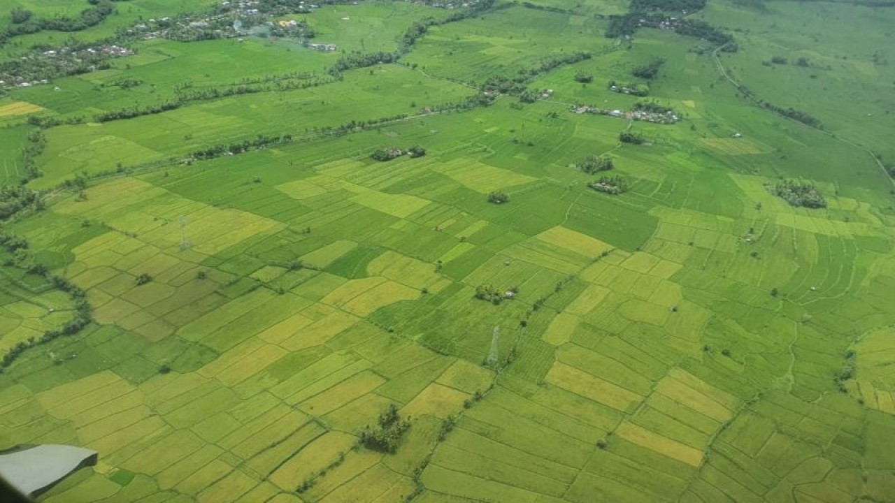 Foto udara hamparan tanaman padi di Pulau Sumbawa, Nusa Tenggara Barat, yang diperkirakan akan panen raya di awal Maret 2023. ANTARA/HO-Bulog NTB