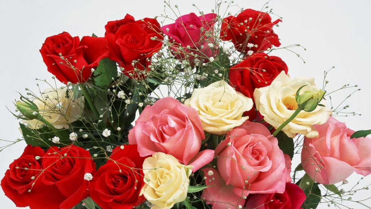 Ilustrasi Bunga Valentine