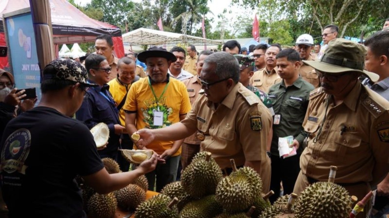 Bupati Sukabumi Marwan Hamami saat mencicipi durian unggulan dari Kecamatan Kalapanunggal, Kabupaten Sukabumi, Jabar pada acara  Festival Durian dan Pasar Leuweung Sesi II Kalapanunggal di Kawasan Agromina Wisata, di Kampung Babakanjaya Wangi, Desa Gunungendut, Kecamatan Kalapanunggal, Kabupaten Sukabumi, Jabar, Senin (13/2/2023). ANTARA/HO/Pemkab Sukabumi.