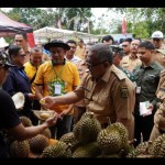 Bupati Sukabumi: Pengembangan sektor pertanian percepat pembangunan-1676350069