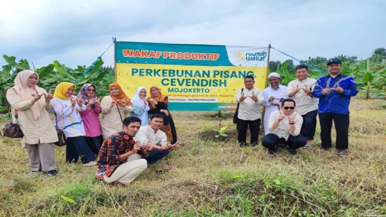 Kemenag Sulbar mendampingi BWI Sulbar belajar pengelolaan dan pengembangan wakaf di Jatim dan mengunjungi lokasi perkebunan pisang Cavendish yang akan dikembangkan wakaf produktif di Mamuju, Sabtu (4/2/2023) FOTO ANTARA/ M Faisal Hanapi