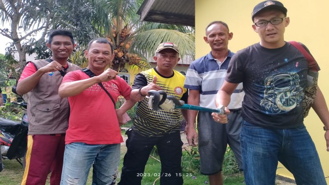 Petugas UPTD Damkar Kecamatan Bintan Timur, Kabupaten Bintan, Kepri, berhasil mengevakuasi seekor ular kobra masuk ke sumur warga di Kelurahan Sei Lekop, Ahad (26/2/2023). (ANTARA/HO-UPT Damkar Bintan Timur)