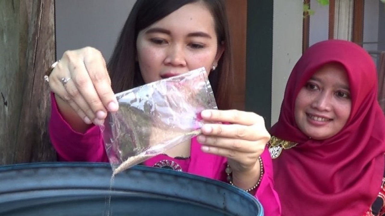 Petugas Dinkes Kota Sukabumi, Jawa Barat, saat memberikan serbuk abate di salah satu rumah warga di Kelurahan Sindangsar, Kecamatan Lembursitu. (Megapolitan.Antaranews.Com/Foto: Aditya AR).
