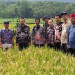 DKP Probolinggo minta petani maksimalkan panen-1677137343