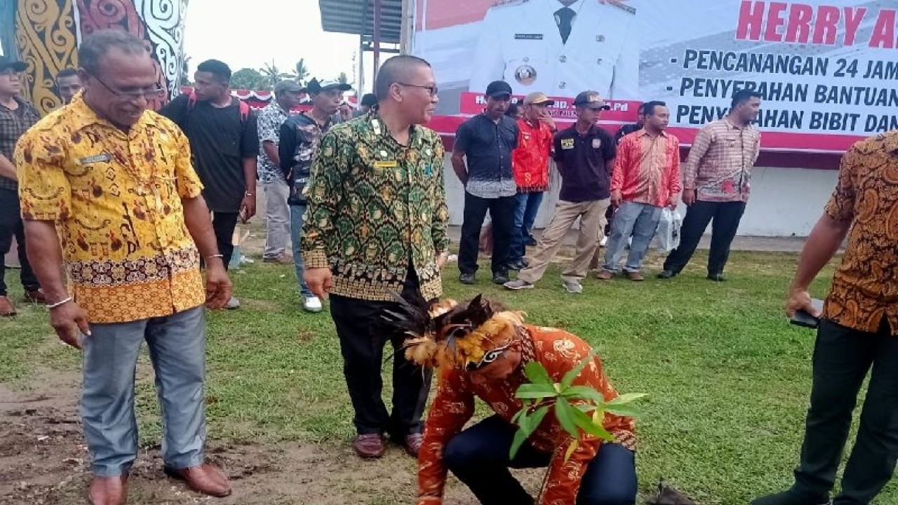 Wakil Bupati Biak Numfor menanam pohon lokal khas Biak Sasurep di area pinggir jalan Sisingamangaraja atau lapangan remaja Cenderawasih untuk penghijauan lingkungan. ANTARA/Muhsidin