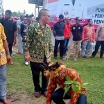 DLH Biak lakukan penghijauan tanam pohon lindung Sasurep-1676864749