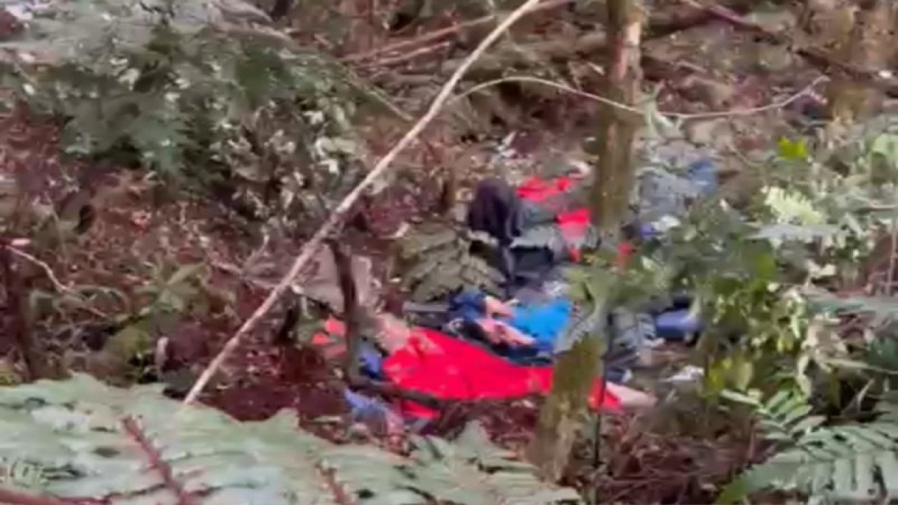 Lokasi helikopter yang ditumpangi Kapolda Jambi dan tujuh korban lainnya jatuh, Selasa (20/2/2023) (ANTARA/Tuyani)