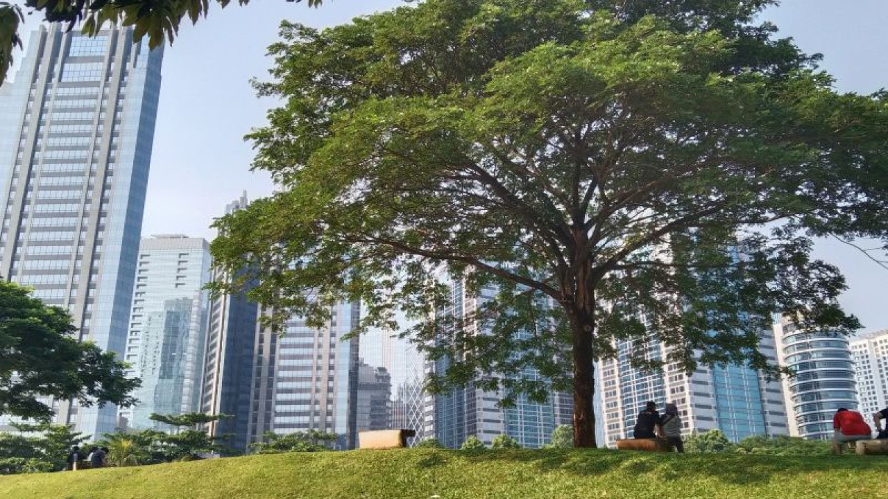Warga Jakarta menikmati pemandangan gedung pencakar langit di Taman Hutan Kota Gelora Bung Karno (GBK) di Jakarta, Minggu (9/1/2023). ANTARA/Dewa Ketut Sudiarta Wiguna