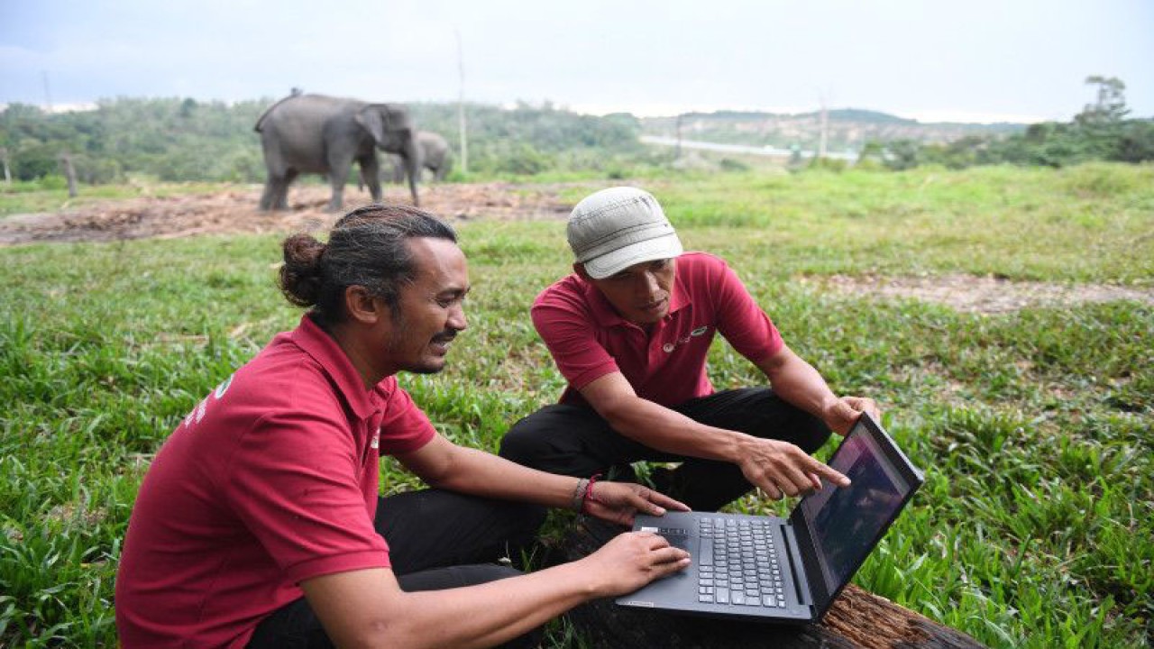 Ilustrasi - Petugas memantau pergerakan kawanan gajah liar yang telah diberikan GPS collar dari laptop di Pusat Konservasi Gajah Minas, Riau, Kamis (18/8/2022). ANTARA FOTO/Akbar Nugroho Gumay/rwa.