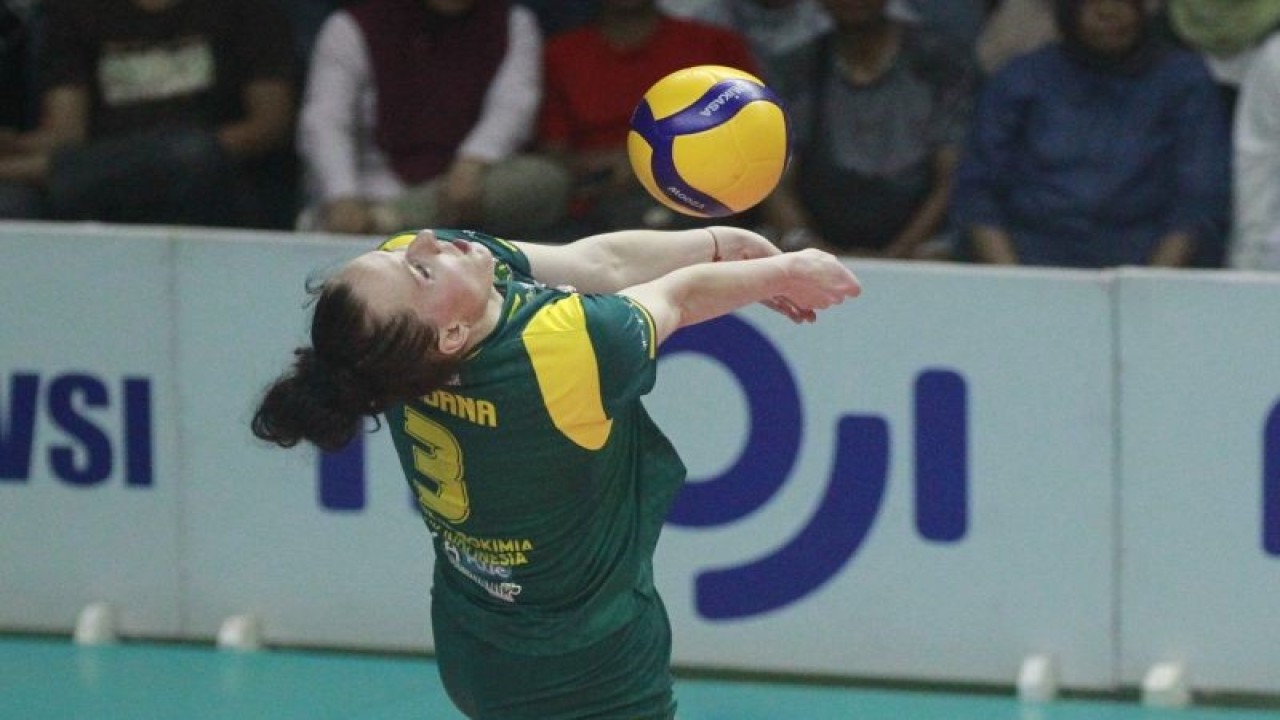 Pemain Gresik Petrokimia Bohdana Anisova melakukan pengambilan bola saat laga putaran kedua PLN Proliga 2023. (ANTARA Jatim/HO-Humas Proliga)