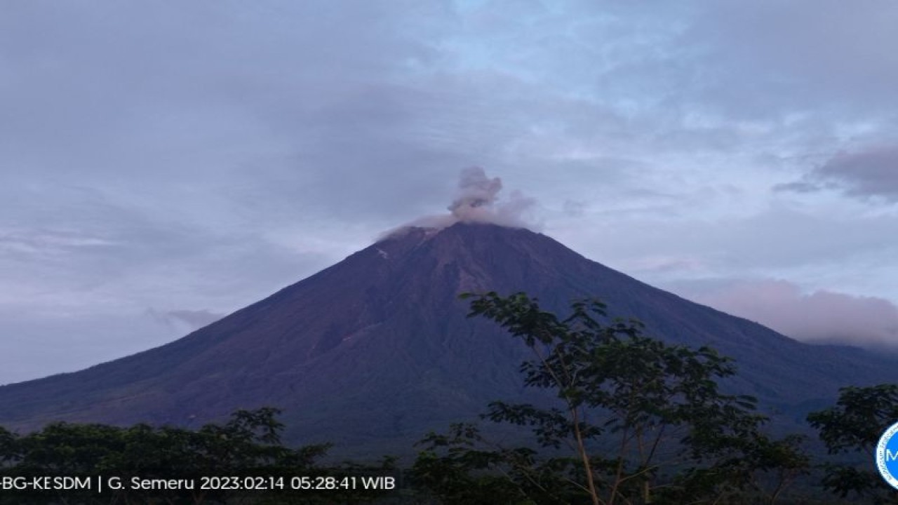 Gunung Semeru erupsi yang terpantau dari PPGA Semeru di Gunung Sawur, Kabupaten Lumajang, Selasa (14/2/2023). (FOTO ANTARA/HO-PVMBG)