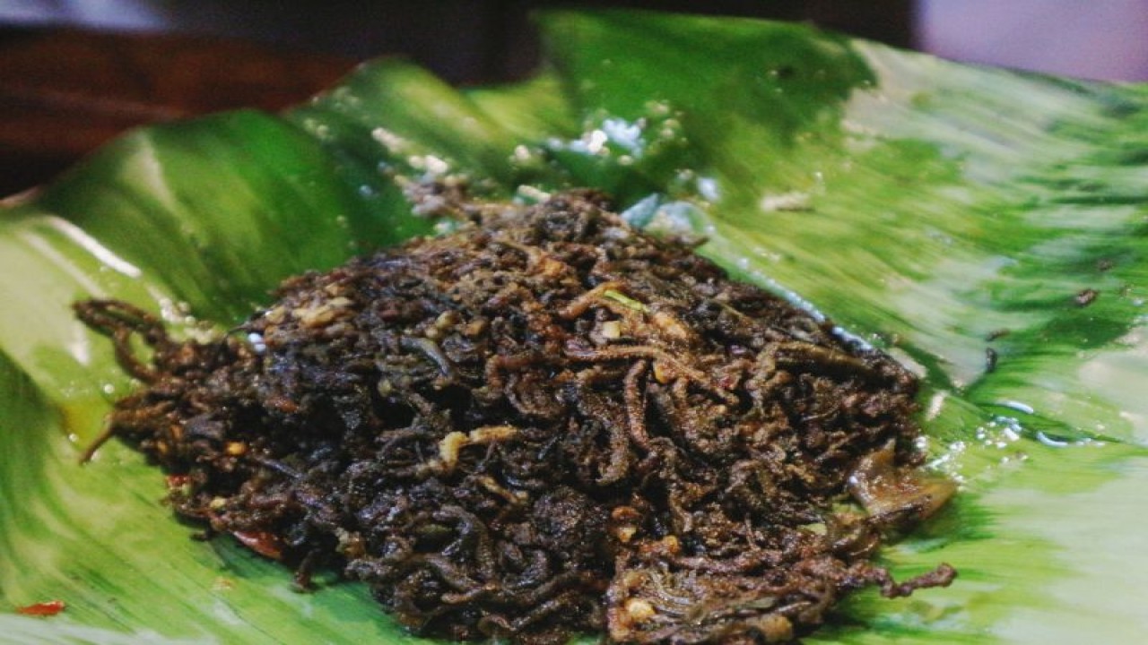 Hidangan unik "Nyale" khas Lombok, Nusa Tenggara Barat (NTB). (ANTARA/Pamela Sakina)