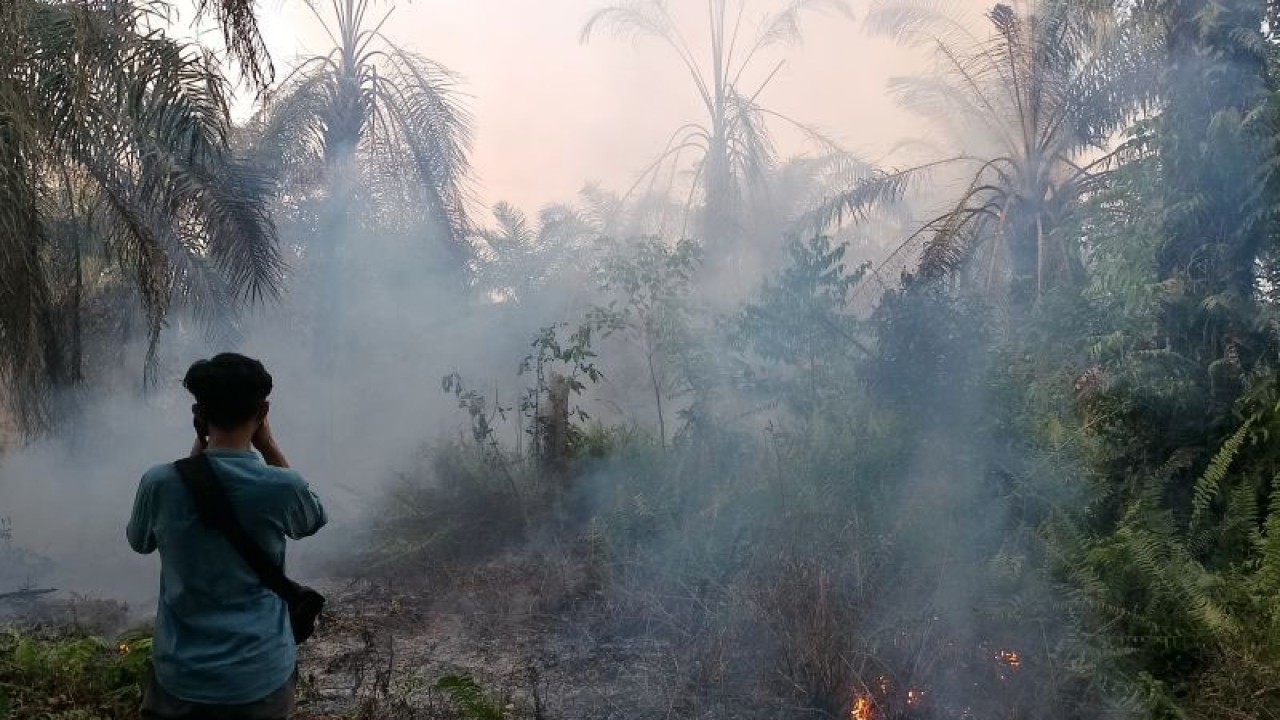 Kebakaran salah satu lahan di Kabupaten Kampar pada April 2022. (ANTARA/Annisa Firdausi)