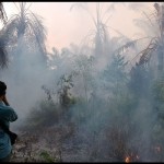 hutan-1676043165