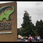 Ilustrasi-Solo Safari. ANTARA/Aris Wasita-1677207267