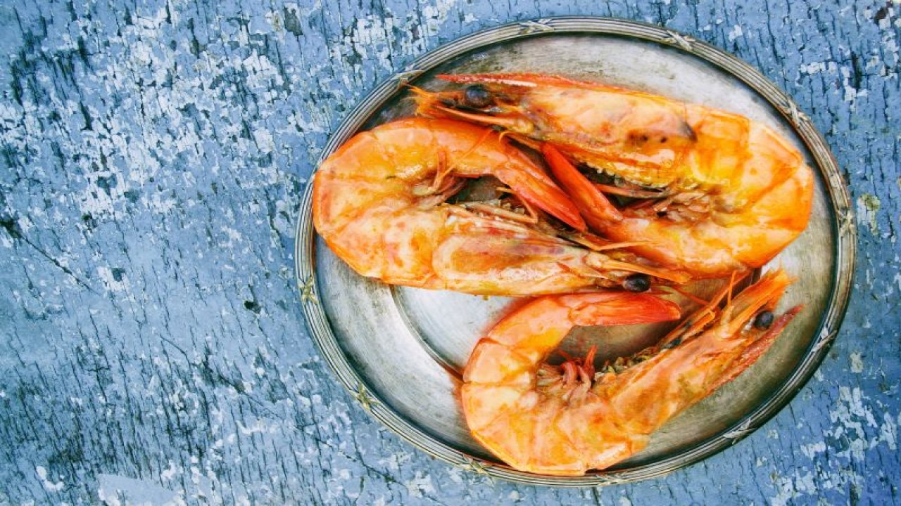 Ilustrasi udang (ANTARA/Pexels)