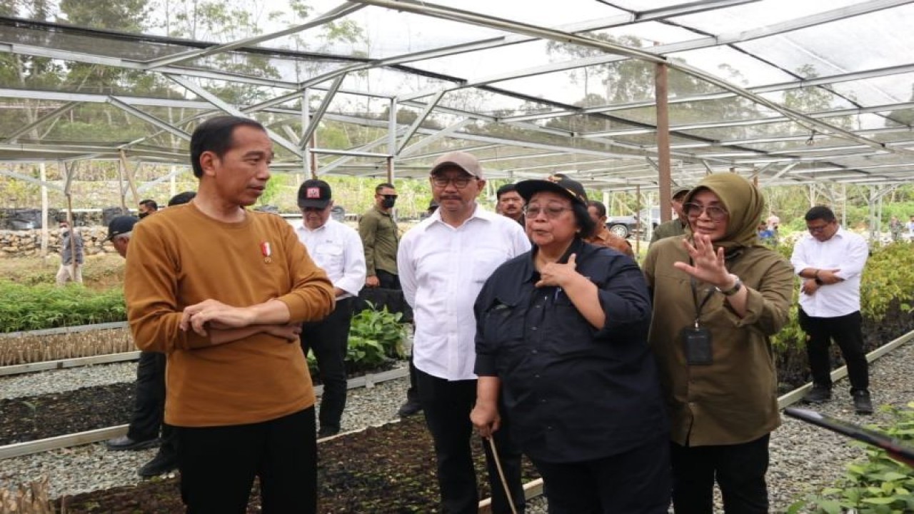 Presiden RI Joko Widodo (kiri) berbincang dengan Menteri Lingkungan Hidup dan Kehutanan Siti Nurbaya Bakar (kedua kanan) saat meninjau fasilitas Persemaian Mentawir di Kalimantan Timur, Kamis (23/2/2023). (ANTARA/Desca Lidya Natalia)