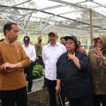 Joko Widodo-1677133447
