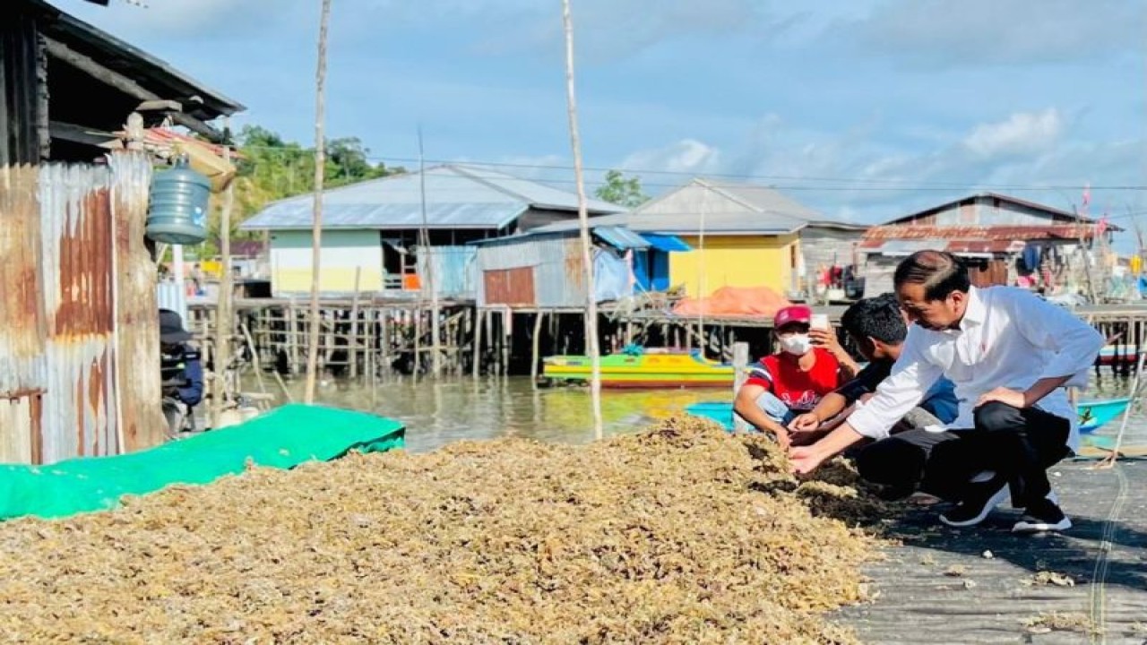 Presiden RI Joko Widodo (kanan) tampak memeriksa aktivitas pengeringan ikan asin di Kampung Nelayan Tanjung Pasir, Kota Tarakan, Kalimantan Utara, Selasa (28/2/2023). ANTARA/HO-Biro Pers Sekretariat Presiden RI