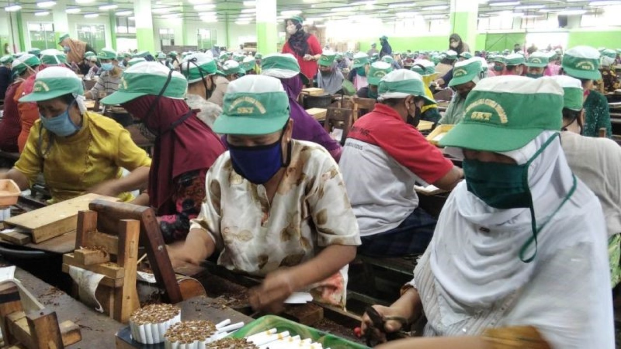 Aktivitas produksi rokok jenis sigaret kretek tangan (SKM) di Kabupaten Kudus, Jawa Tengah. ANTARA/Akhmad Nazaruddin Lathif.