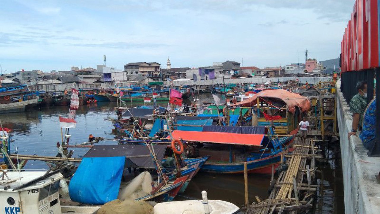 Kawasan "kumuh" Kalibaru, di Jakarta Utara sebagai salah salah satu kawasan pembenahan oleh Pemprov DKI, Jumat (20/1/2023). ANTARA/Dewa Ketut Sudiarta Wiguna